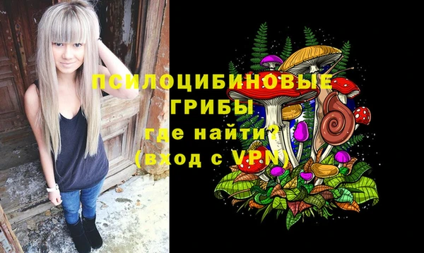 бошки Шарыпово
