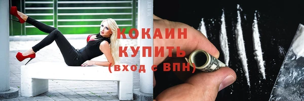 ГАЛЛЮЦИНОГЕННЫЕ ГРИБЫ Шали