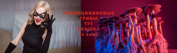 бошки Шарыпово