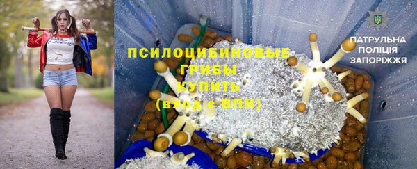 бошки Шарыпово