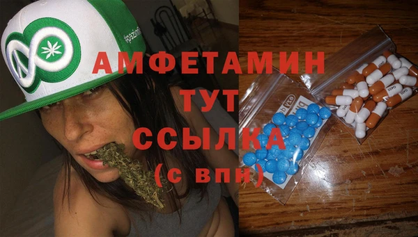 ГАЛЛЮЦИНОГЕННЫЕ ГРИБЫ Шали