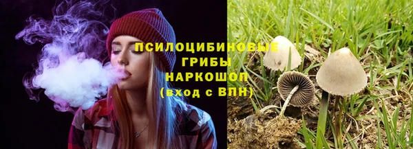 ГАЛЛЮЦИНОГЕННЫЕ ГРИБЫ Шали