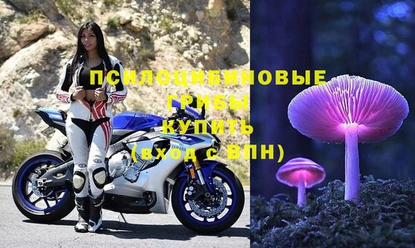 экстази Шадринск