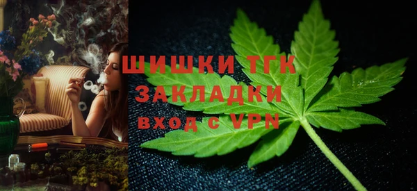 ГАЛЛЮЦИНОГЕННЫЕ ГРИБЫ Шали