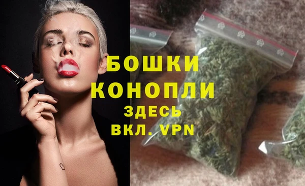 ГАЛЛЮЦИНОГЕННЫЕ ГРИБЫ Шали