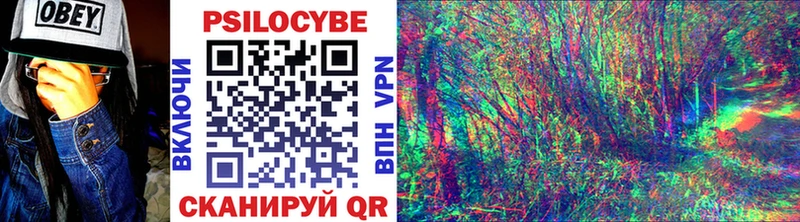 omg зеркало  Липецк  Псилоцибиновые грибы MAGIC MUSHROOMS  цены наркотик 